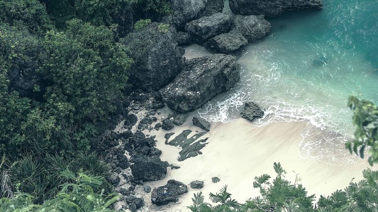 Bonjour tout le monde !